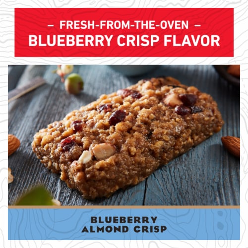 CLIF BAR Chocolate Chip Energy Protein Bar - Blueberry Almond Crisp