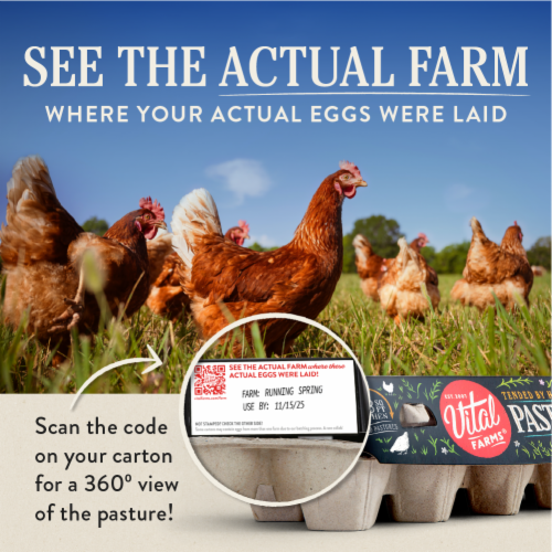 Vital Farms Pasture-Raised Large Brown Grade-A Organic Eggs - 18 ct. / Organic Pasture