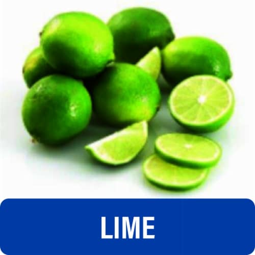 Fresh Limes - Each - Key Limes, front