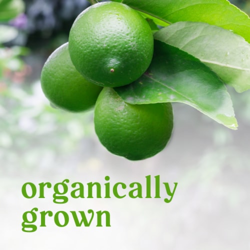 Fresh Limes - Each - Organic, back