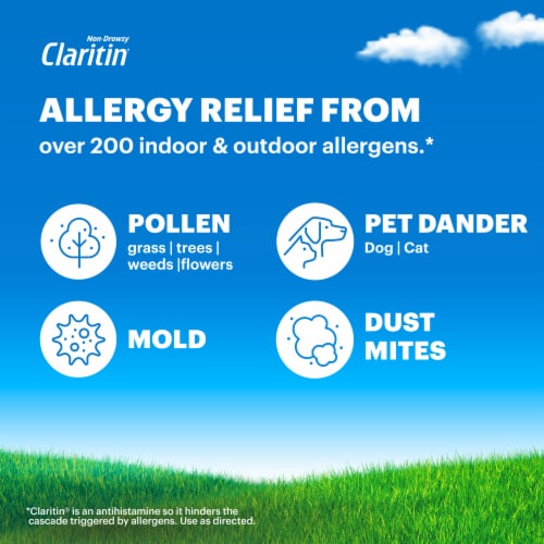 Claritin 24HR Tablets 10MG 30CT - 30 ct