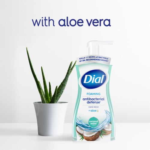 Dial® Antibacterial Defense™ Coconut Water Scent Foaming Hand Soap - Dial® Antibacterial Defense™ Coconut Water Scent Foaming Hand Soap
