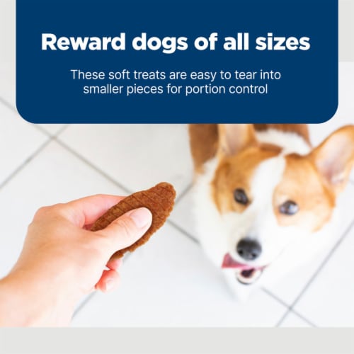 Blue Buffalo Nudges Jerky Cuts Natural Dog Treats with Chicken - Blue Buffalo Nudges Jerky Cuts Natural Dog Treats with Chicken