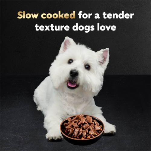 Cesar Filets in Gravy Wet Dog Food Mini-Pouch Filet Mignon - Cesar Filets in Gravy Wet Dog Food Mini-Pouch Filet Mignon