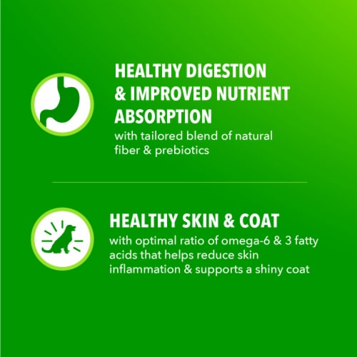 Iams Proactive Health Minichunks Adult Small Kibble Dry Dog Food Real Chicken Flavor - Iams Proactive Health Minichunks Adult Small Kibble Dry Dog Food Real Chicken Flavor