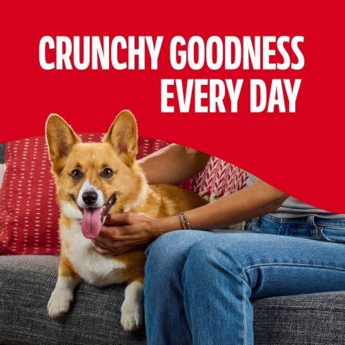 Milk-Bone Flavor Snacks Small Dog Biscuits, Flavored Crunchy Dog Treats, 24 Oz. Box - Milk-Bone Flavor Snacks Small Dog Biscuits, Flavored Crunchy Dog Treats, 24 Oz. Box