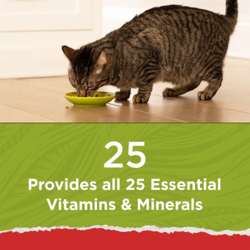 Purina Cat Chow Naturals Original Dry Cat Food Real Chicken & Salmon - Purina Cat Chow Naturals Original Dry Cat Food Real Chicken & Salmon