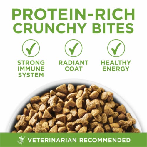 Purina ONE +Plus Indoor Advantage Weight Control Adult Dry Cat Food Real Turkey - Purina ONE +Plus Indoor Advantage Weight Control Adult Dry Cat Food Real Turkey