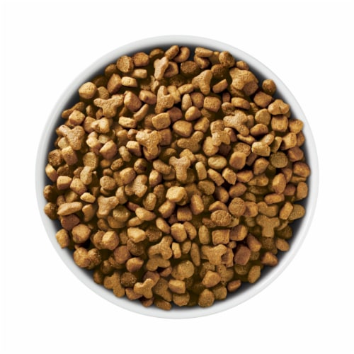 Purina ONE +Plus Sensitive Skin & Stomach Adult Dry Cat Food Real Turkey - Purina ONE +Plus Sensitive Skin & Stomach Adult Dry Cat Food Real Turkey