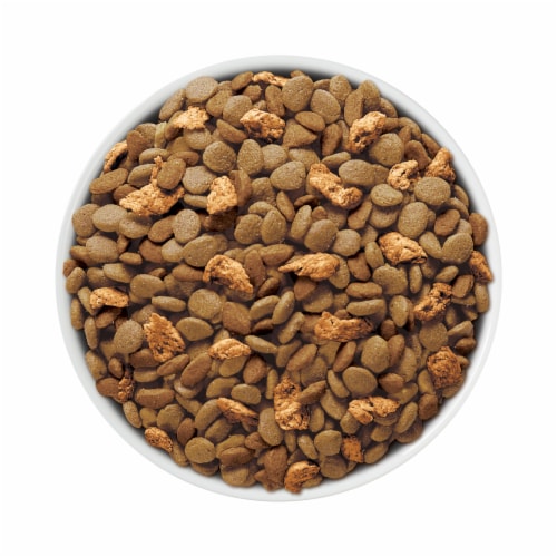 Purina ONE Tender Selects Adult Natural Dry Cat Food Real Chicken - Purina ONE Tender Selects Adult Natural Dry Cat Food Real Chicken