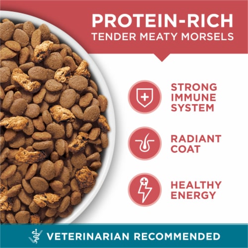 Purina ONE Tender Selects Adult Natural Dry Cat Food Real Salmon - Purina ONE Tender Selects Adult Natural Dry Cat Food Real Salmon