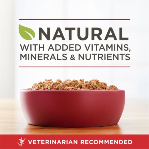 Purina ONE Wet Dog Food Classic Ground Beef & Brown Rice Entrée - Purina ONE Wet Dog Food Classic Ground Beef & Brown Rice Entrée
