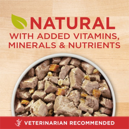 Purina ONE Wet Dog Food Tender Cuts in Gravy Beef & Barley - Purina ONE Wet Dog Food Tender Cuts in Gravy Beef & Barley